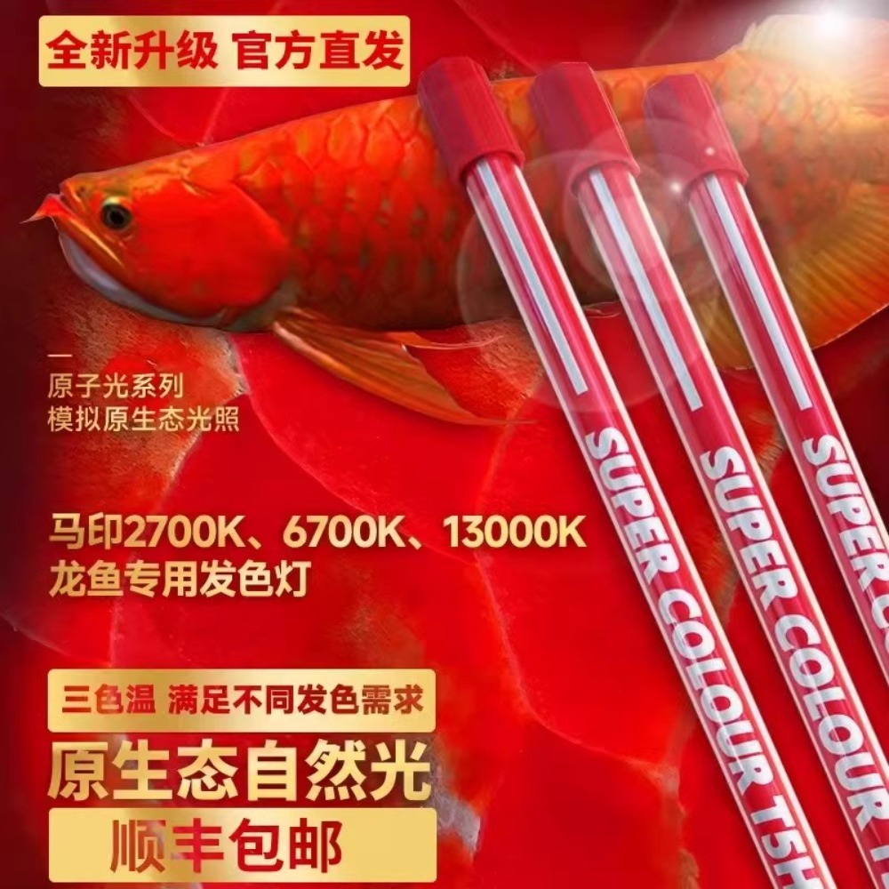 Aquarium Fish Colorful - Arowana Hair Color Light Special Baking