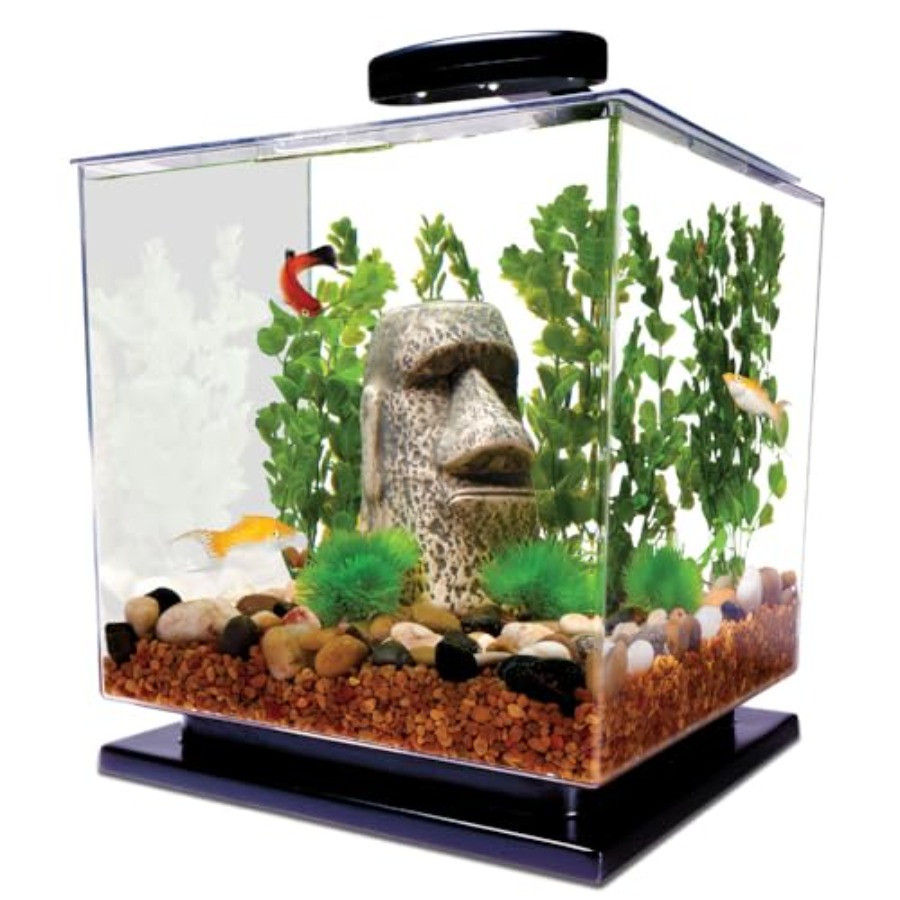 Fish Tank Filter Aquarium - 3 Gallon Fish Tank Aquarium Starter