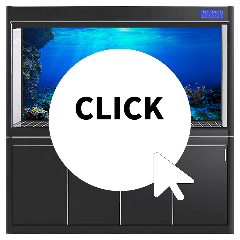 Aquarium Fish Background - Fish Tank Background Decorative Painting Plants
