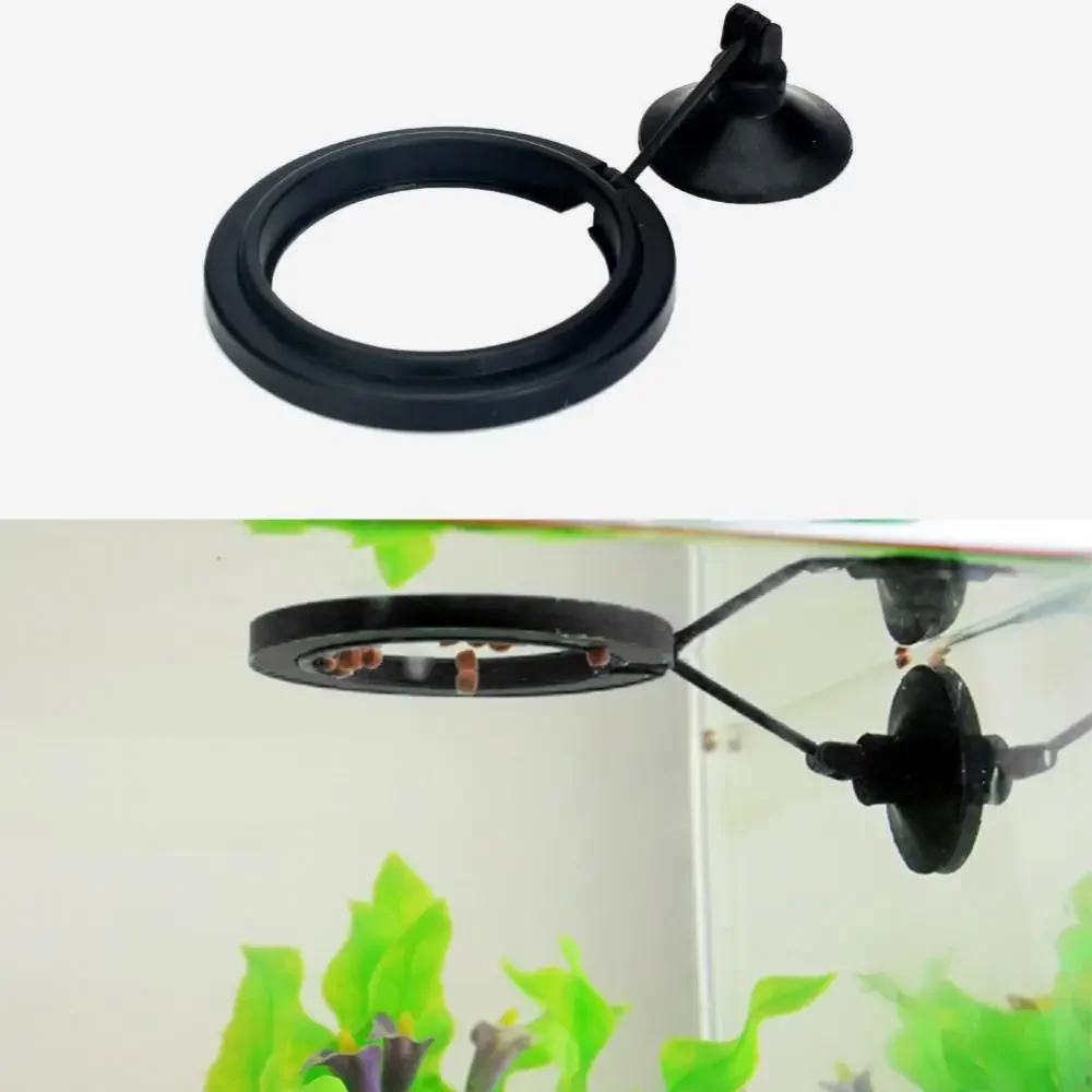 Aquarium Fish To Buy - Feed Suction Cup Aquarium Feeding Ring