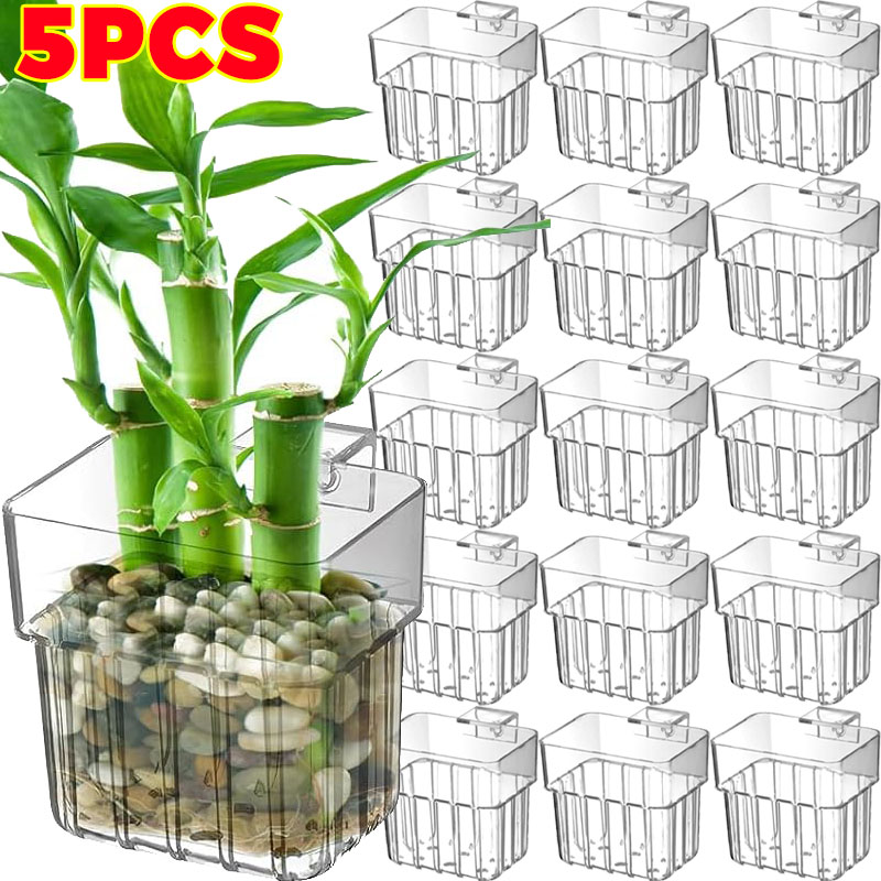 Aquarium Fish To Buy - 1/5pcs Aquarium Decoration Plant Cup Transparent