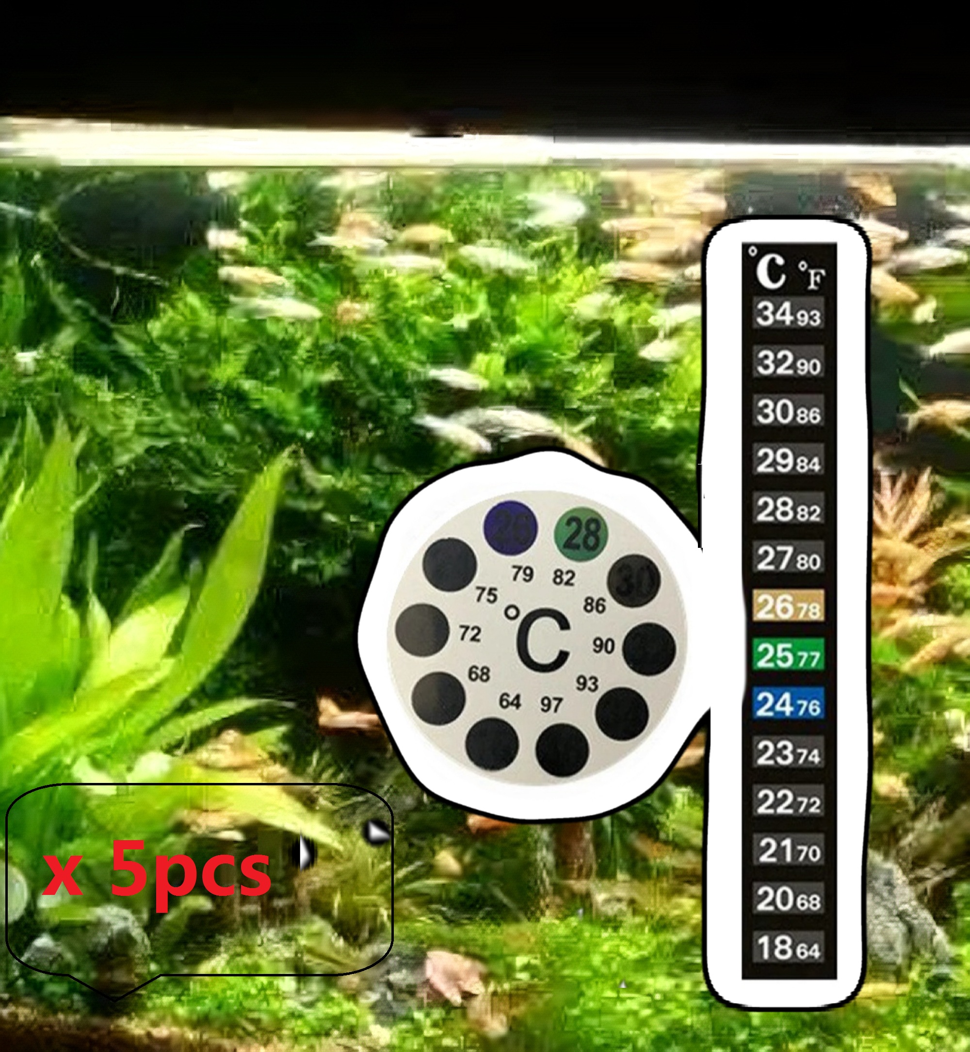 Aquarium Fish Colorful - 5Pcs Home Aquarium Fish Tank Color