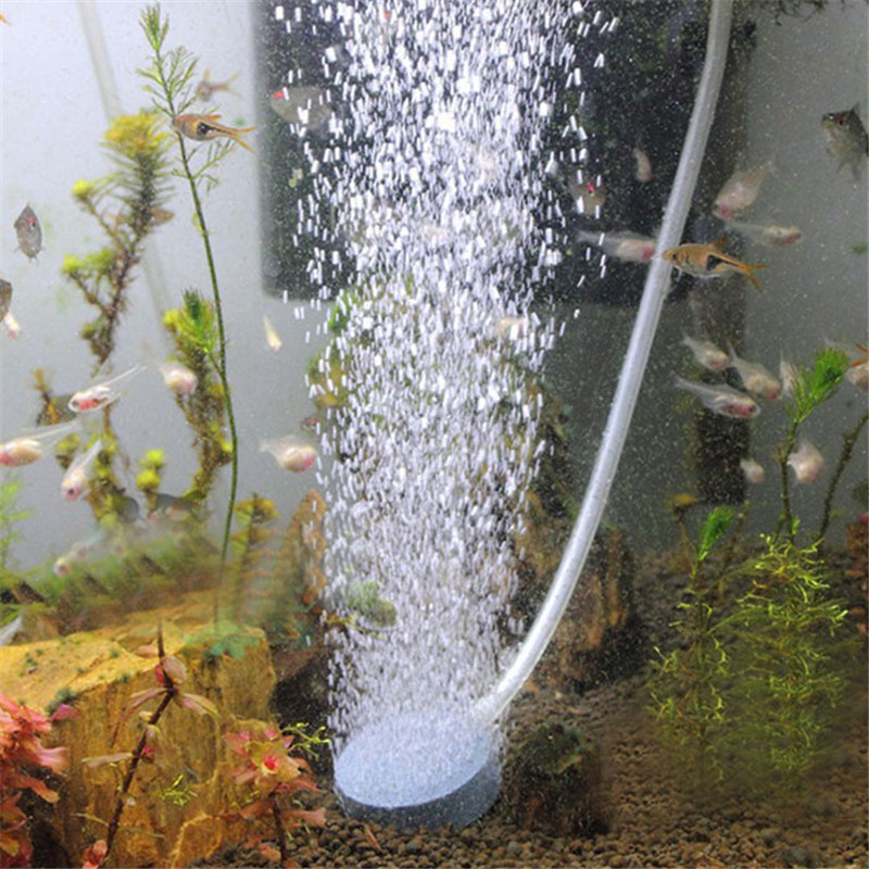 Aquarium Fish Discus - 2Pcs Round Air Stone Disc Oxygen