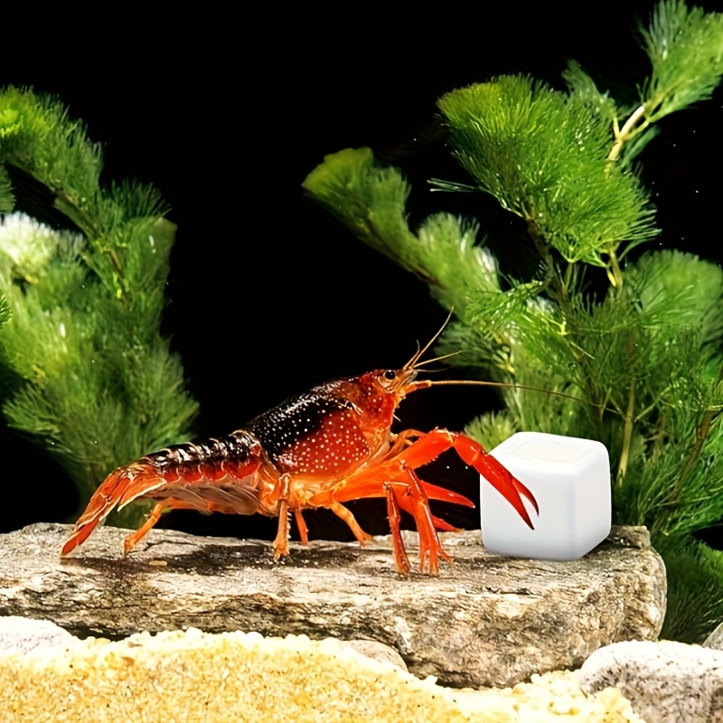 Aquarium Fish Background - 6 Pcs Fish Tank Calcium Block