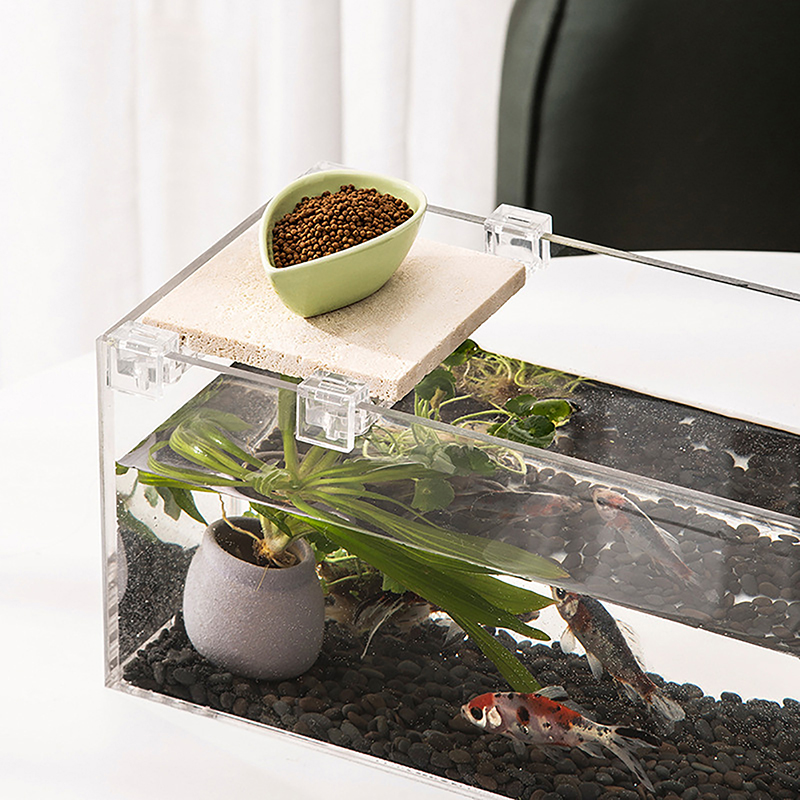4PCS Acrylic Fish Tank Cover H – Aquarium Fish To Buy Bewertung und Preis