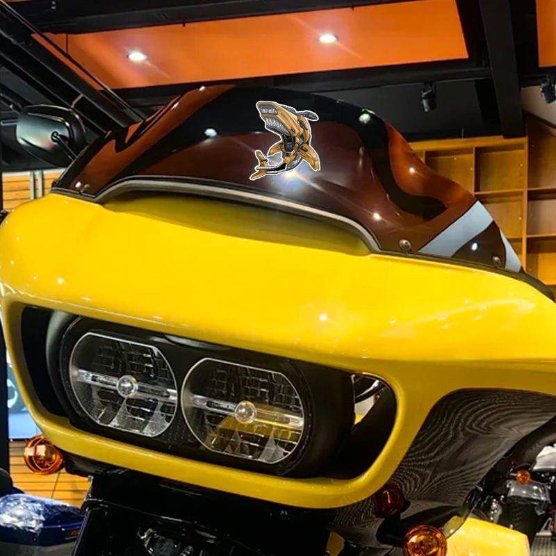 1PC Shark Nose Motorcycle Fair – Aquarium Fish Shark Bewertung und Preis