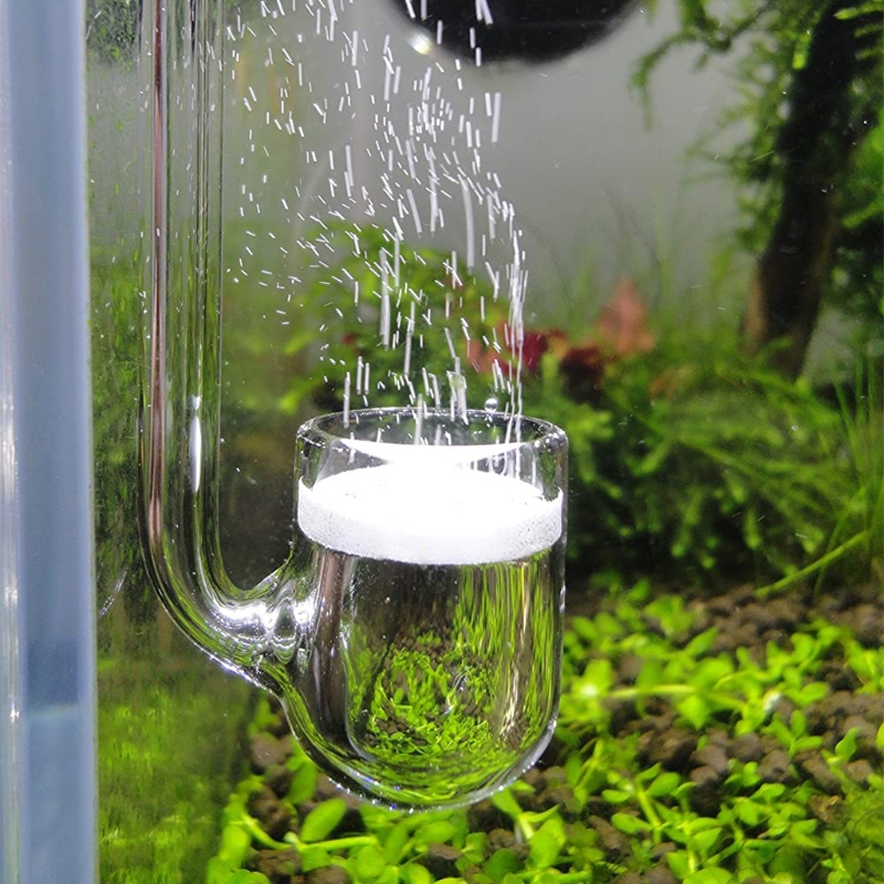 D0AD Glass CO2 Diffuser for Aq – Co2 Diffuser Planted Bewertung und Preis