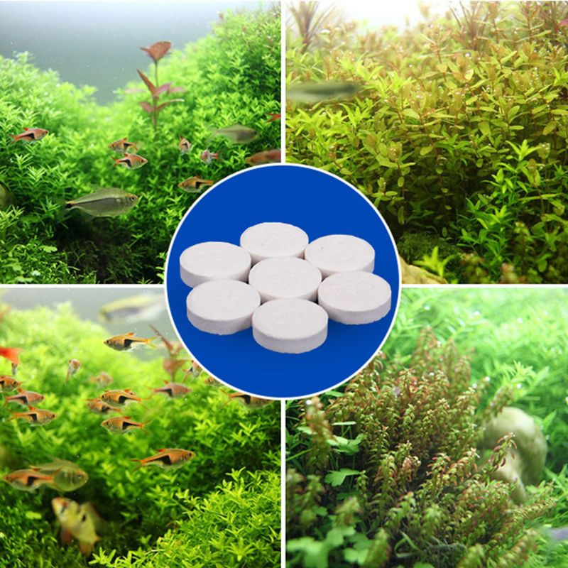Aquarium Co2 Tablet Carbon Dio – Co2 Diffuser Planted Bewertung und Preis