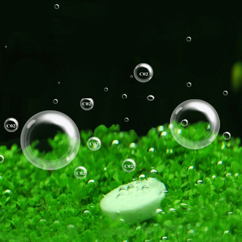 Aquarium Co2 Tablet Carbon Dio – Co2 Diffuser Planted Bewertung und Preis