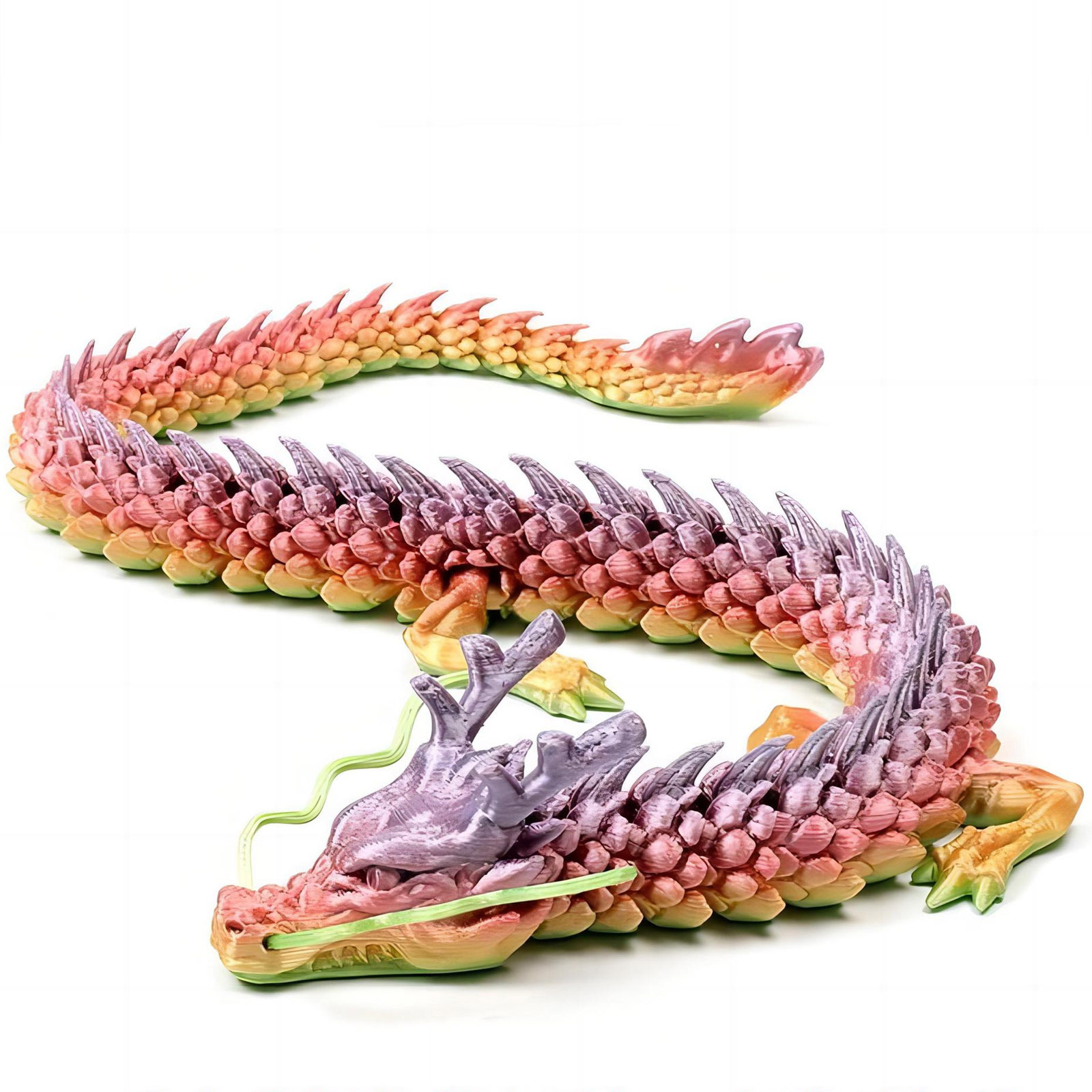 3D Printed Conjoined Dragon Or – Aquarium Fish To Buy Bewertung und Preis