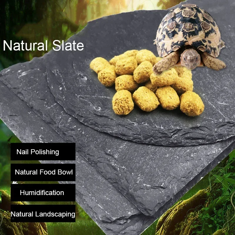 Natural Slate Aquarium Pet Rep – Aquarium Fish Food Bewertung und Preis