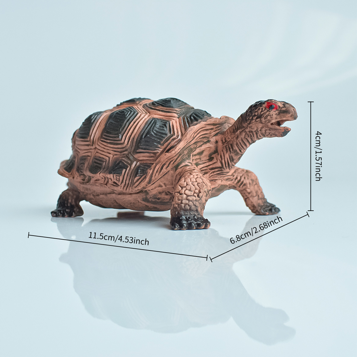 Painted Realistic Animal Turtl – Aquarium Fish To Buy Bewertung und Preis