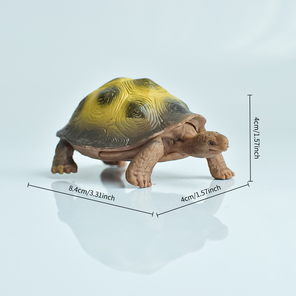 Painted Realistic Animal Turtl – Aquarium Fish To Buy Bewertung und Preis