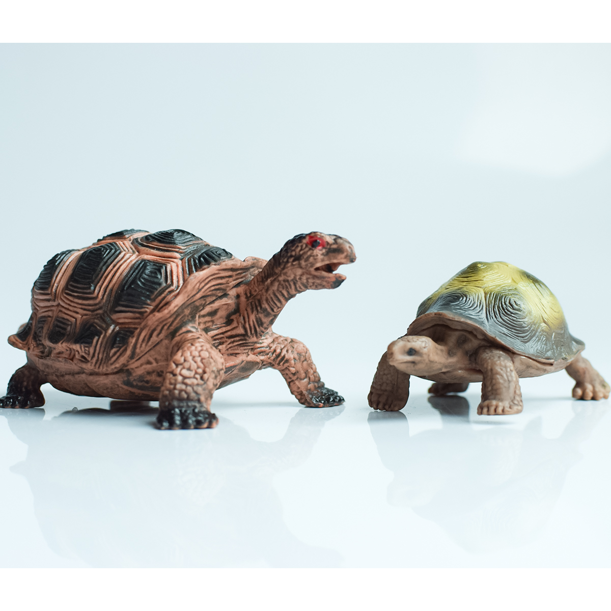 Painted Realistic Animal Turtl – Aquarium Fish To Buy Bewertung und Preis
