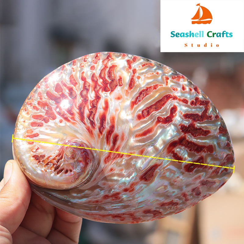Home Decoration Red Pattern Ab – Aquarium Fish To Buy Bewertung und Preis
