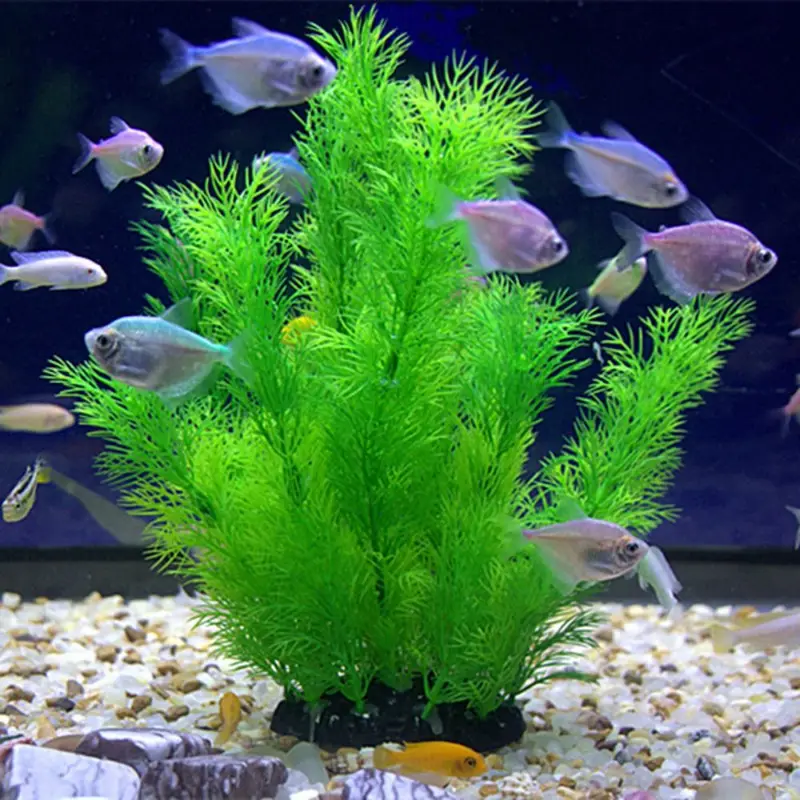Artificial Aquarium Decor Plan – Aquarium Fish Enrichment Bewertung und Preis