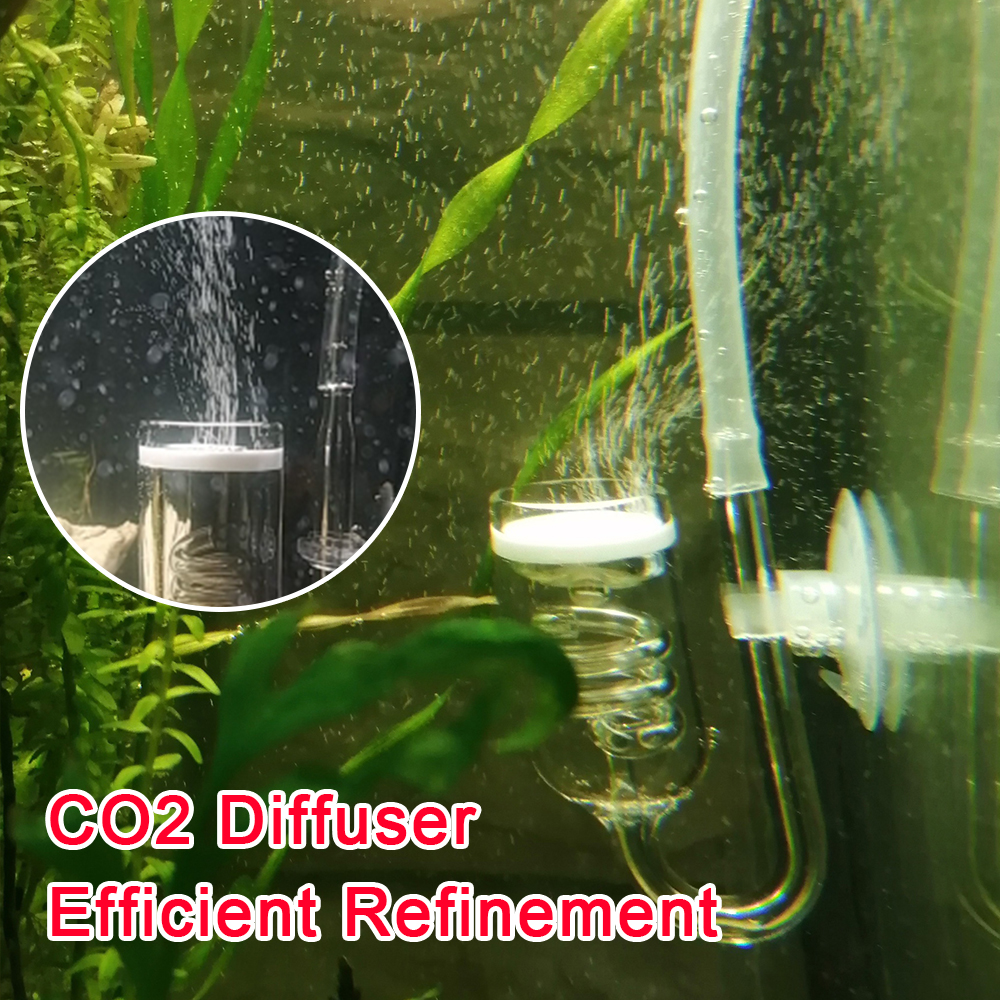 Glass Tank Bubble Reactor Aqua – Co2 Diffuser Planted Bewertung und Preis
