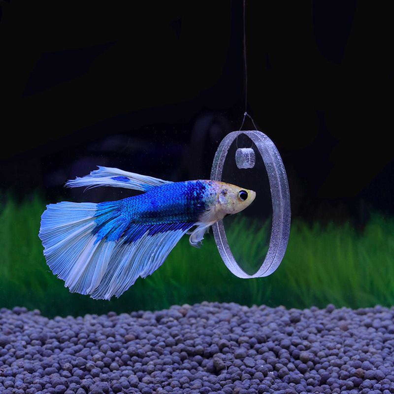 2Pcs Floating Feeding Ring Wit – Aquarium Fish Enrichment Bewertung und Preis