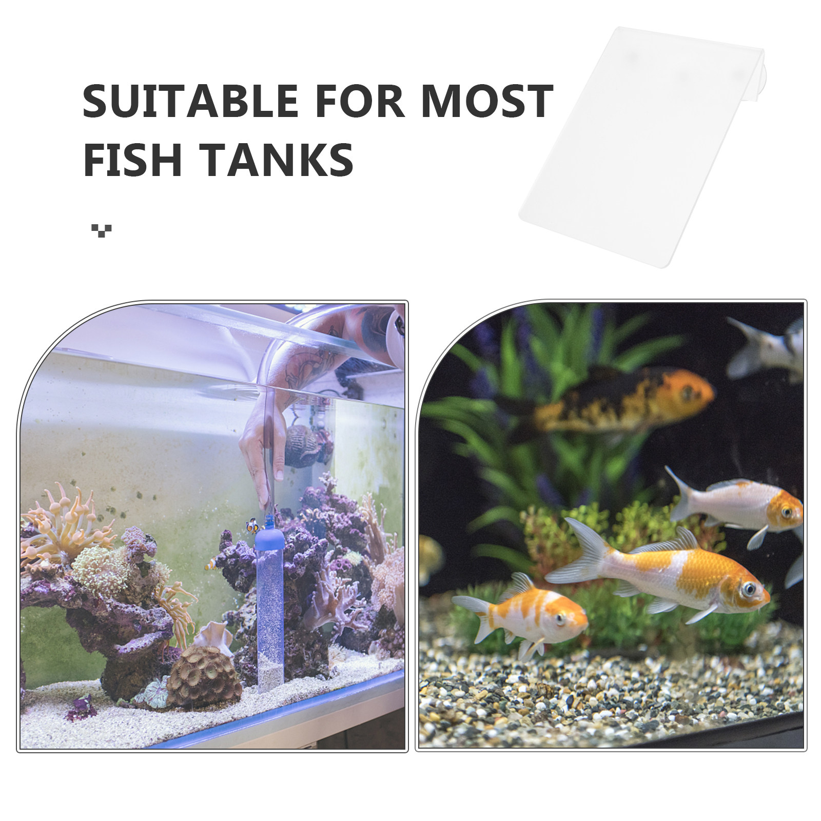 Removable Fish Breeding Lightw – Aquarium Fish Discus Bewertung und Preis