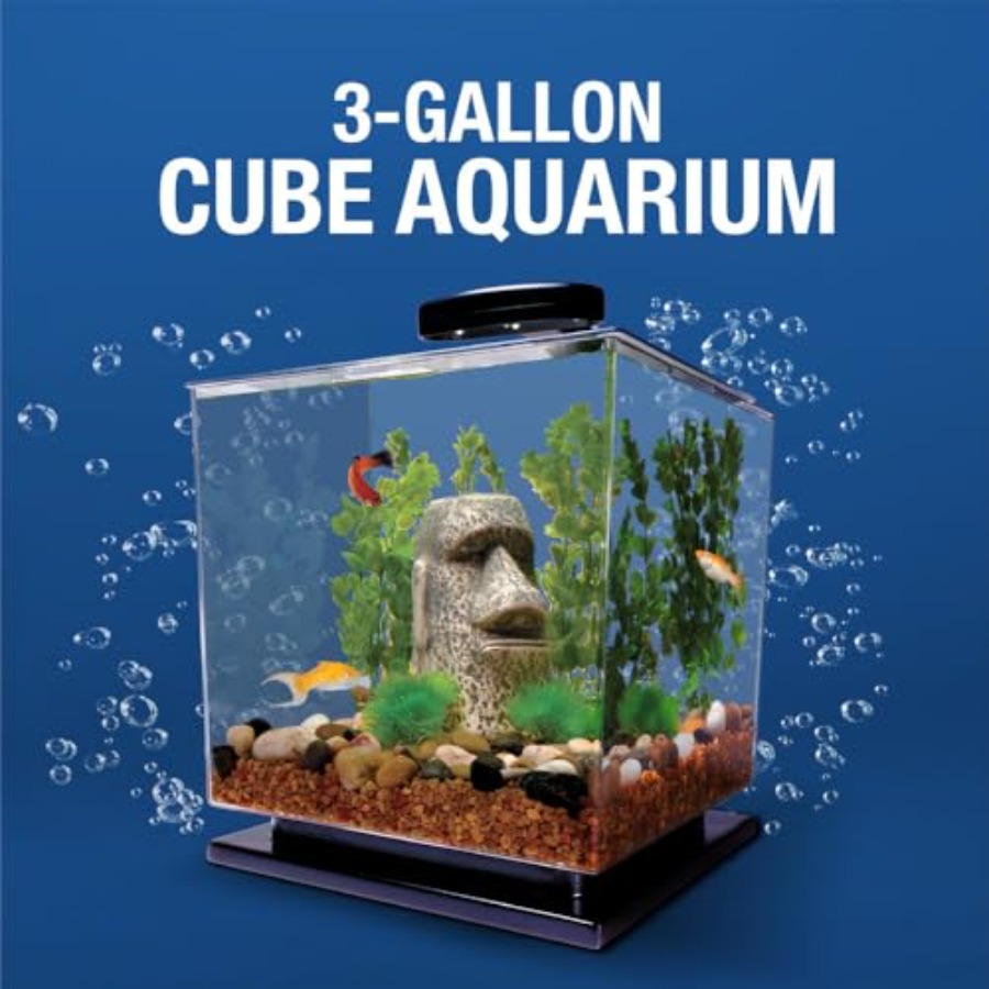 3 Gallon Fish Tank Aquarium St – Fish Tank Filter Aquarium Bewertung und Preis