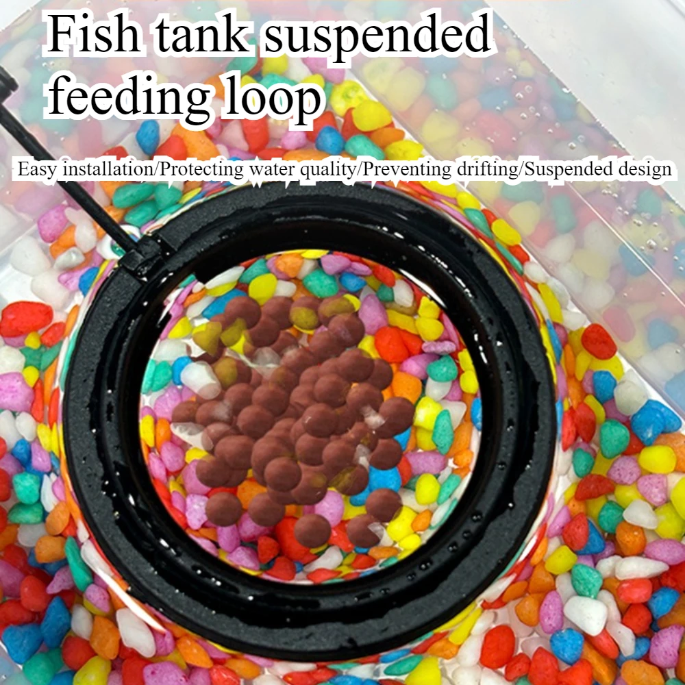 Feed Suction Cup Aquarium Feed – Aquarium Fish To Buy Bewertung und Preis