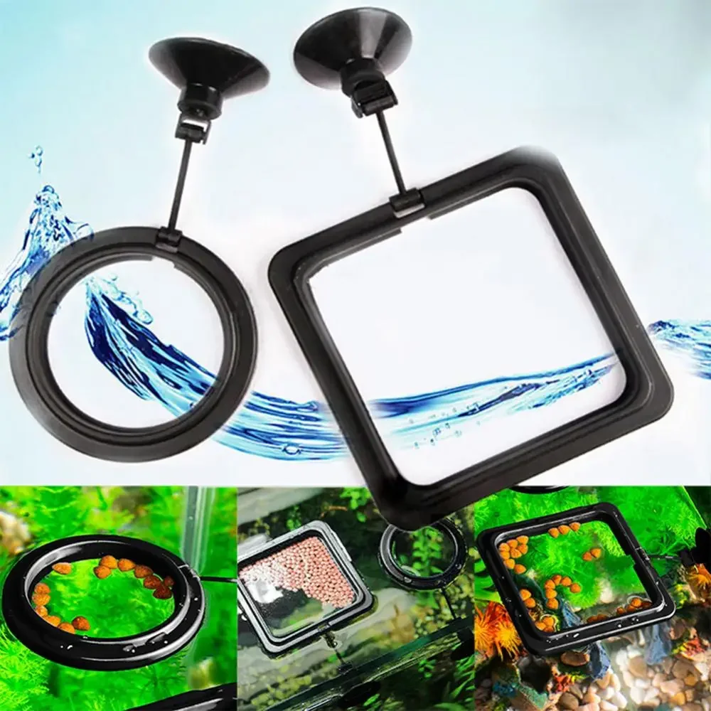 Feed Suction Cup Aquarium Feed – Aquarium Fish To Buy Bewertung und Preis