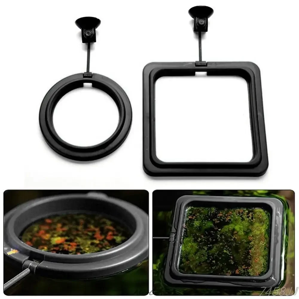 Feed Suction Cup Aquarium Feed – Aquarium Fish To Buy Bewertung und Preis