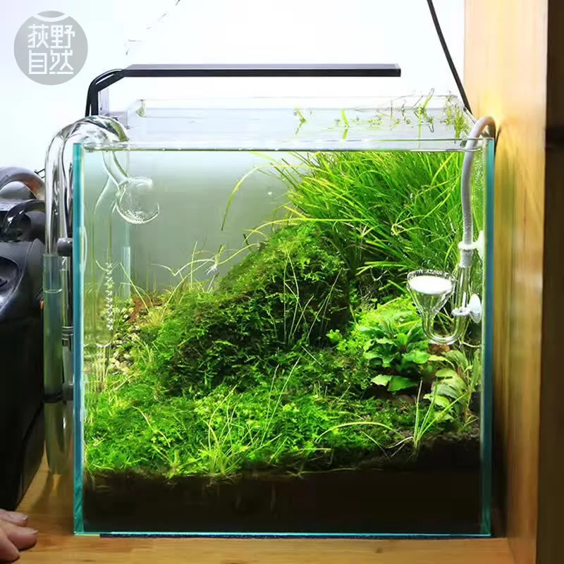 Chihiros C Series ADA Style Pl – Aquarium Fish Background Bewertung und Preis