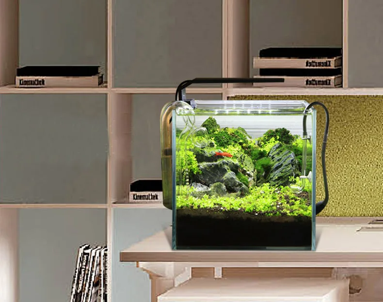 Chihiros C Series ADA Style Pl – Aquarium Fish Background Bewertung und Preis