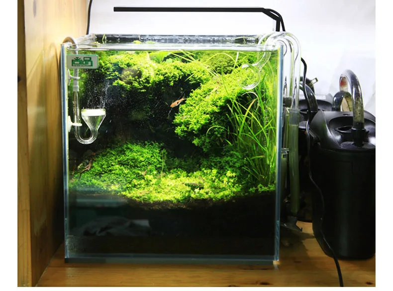 Chihiros C Series ADA Style Pl – Aquarium Fish Background Bewertung und Preis