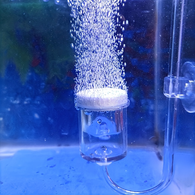 Aquarium Glass CO2 Atomizer Di – Co2 Diffuser Planted Bewertung und Preis