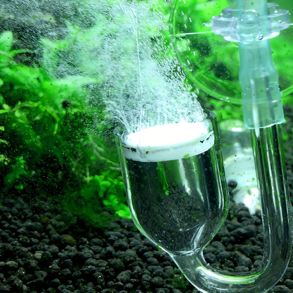 Aquarium Glass CO2 Atomizer Di – Co2 Diffuser Planted Bewertung und Preis