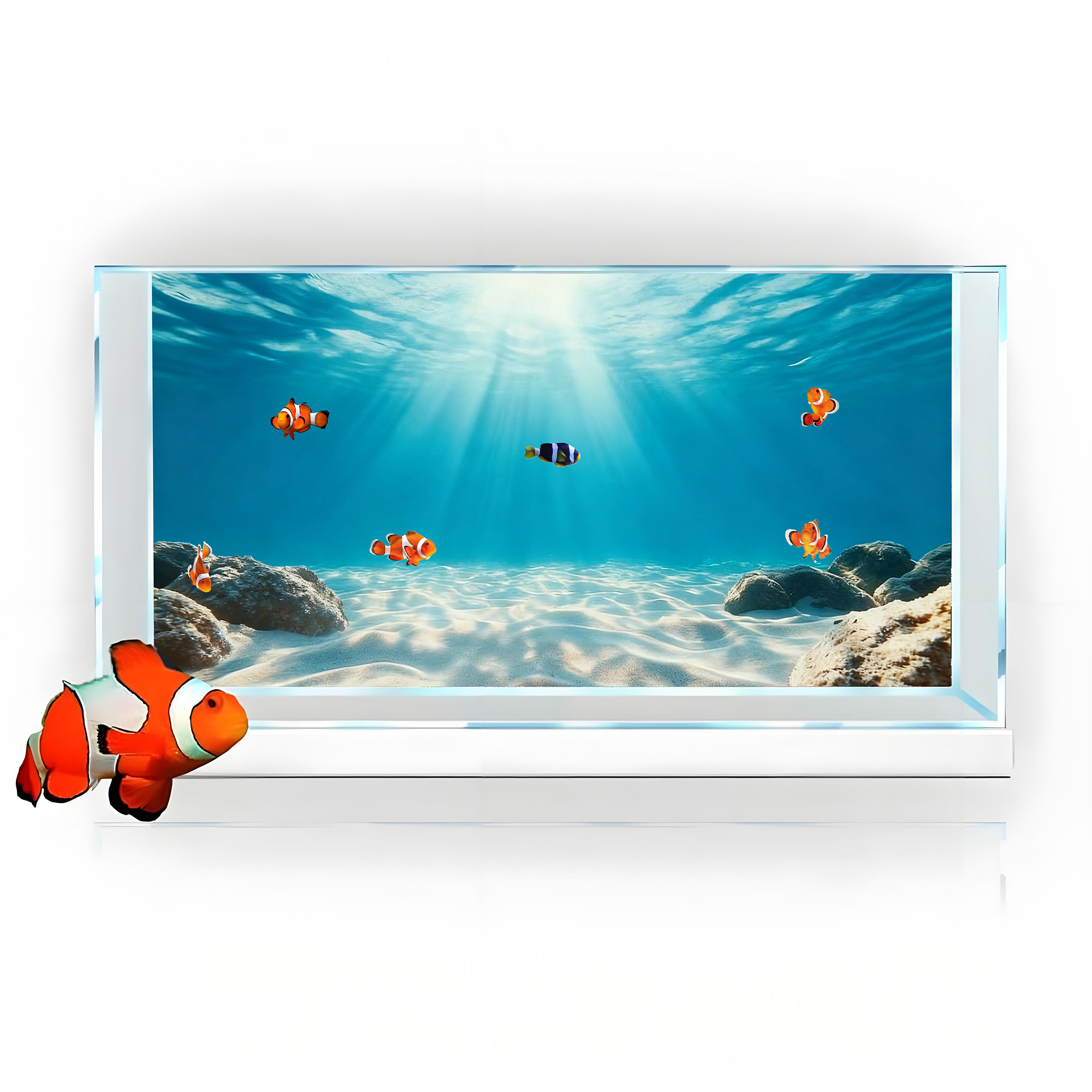 Blue sea clear sand，Fish tank  – Aquarium Fish Background Bewertung und Preis