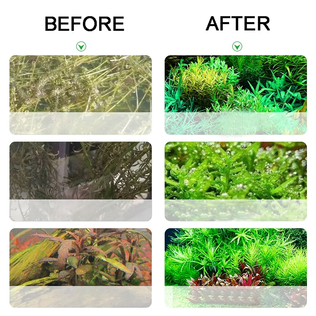 Aquarium CO2 Generator 2L DIY  – Co2 Diffuser Planted Bewertung und Preis