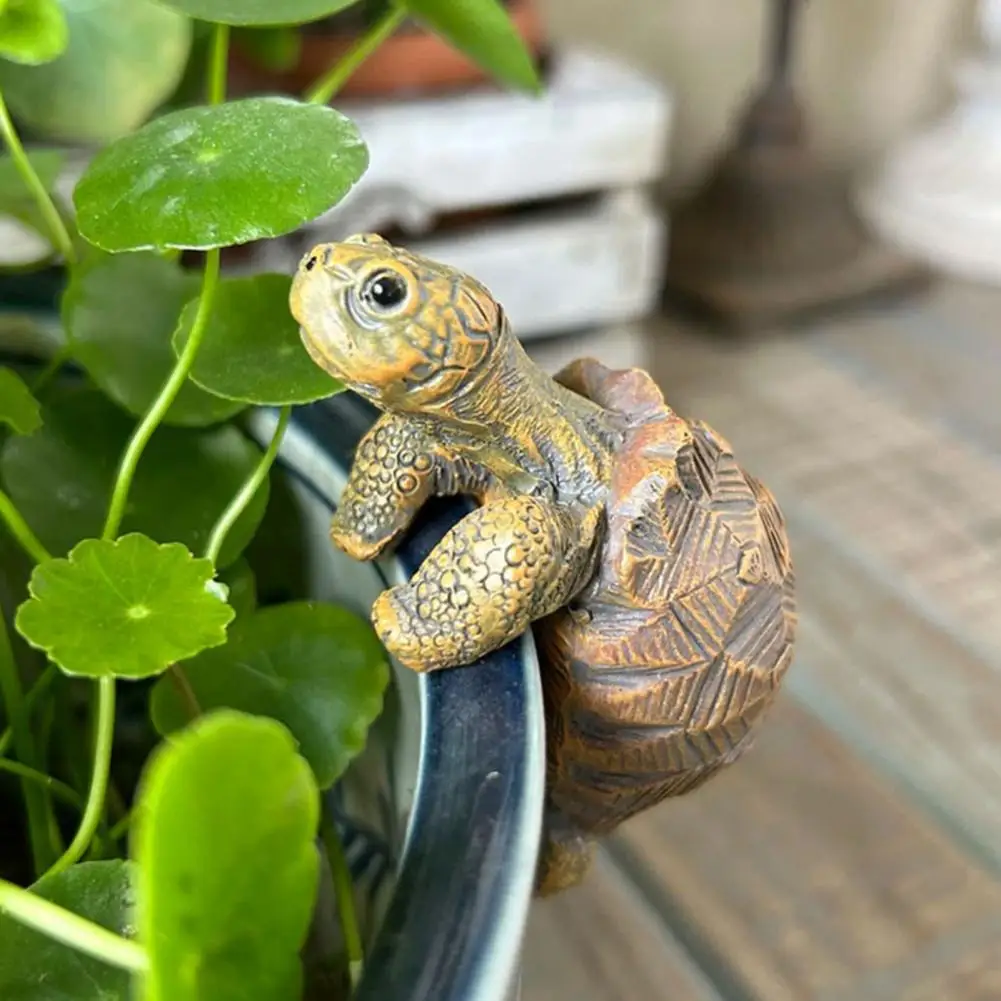 Fishing Turtle Hanging Turtle  – Aquarium Fish To Buy Bewertung und Preis