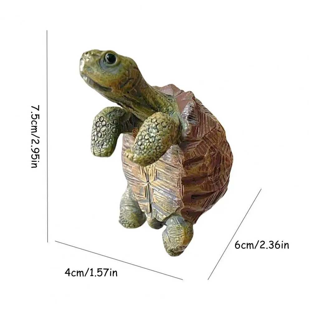 Fishing Turtle Hanging Turtle  – Aquarium Fish To Buy Bewertung und Preis