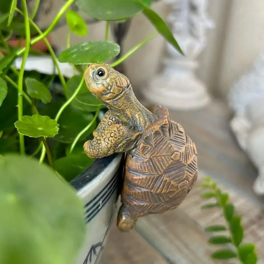 Fishing Turtle Hanging Turtle  – Aquarium Fish To Buy Bewertung und Preis