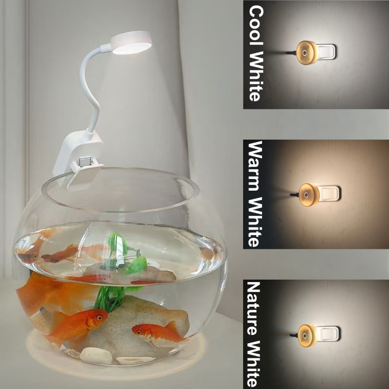 LED Aquarium Light Clip On Fis – Aquarium Fish Colorful Bewertung und Preis