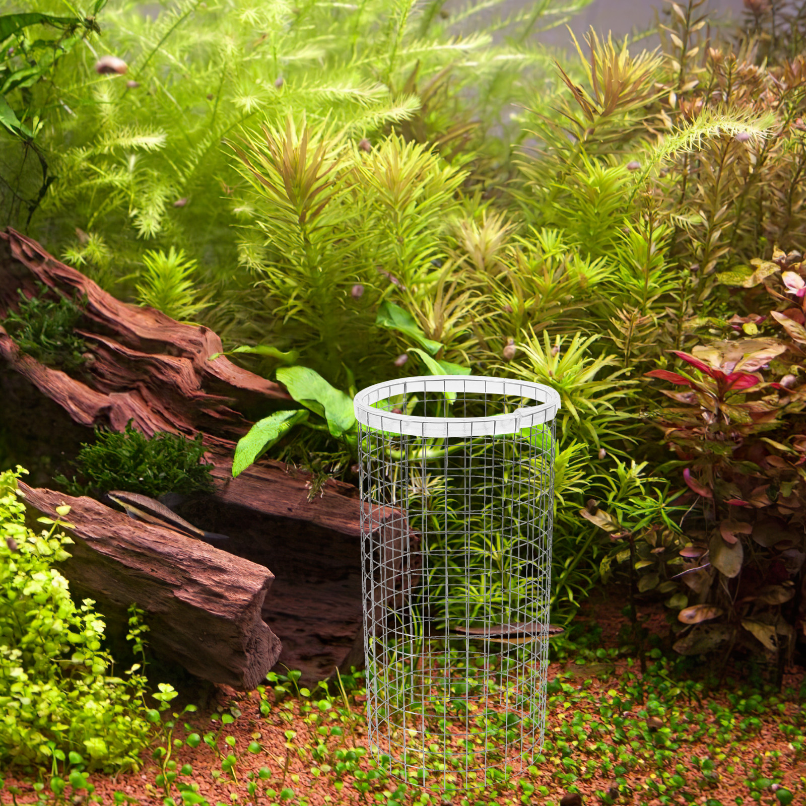 Fish Spawning Breed Cone Grid  – Aquarium Fish Discus Bewertung und Preis