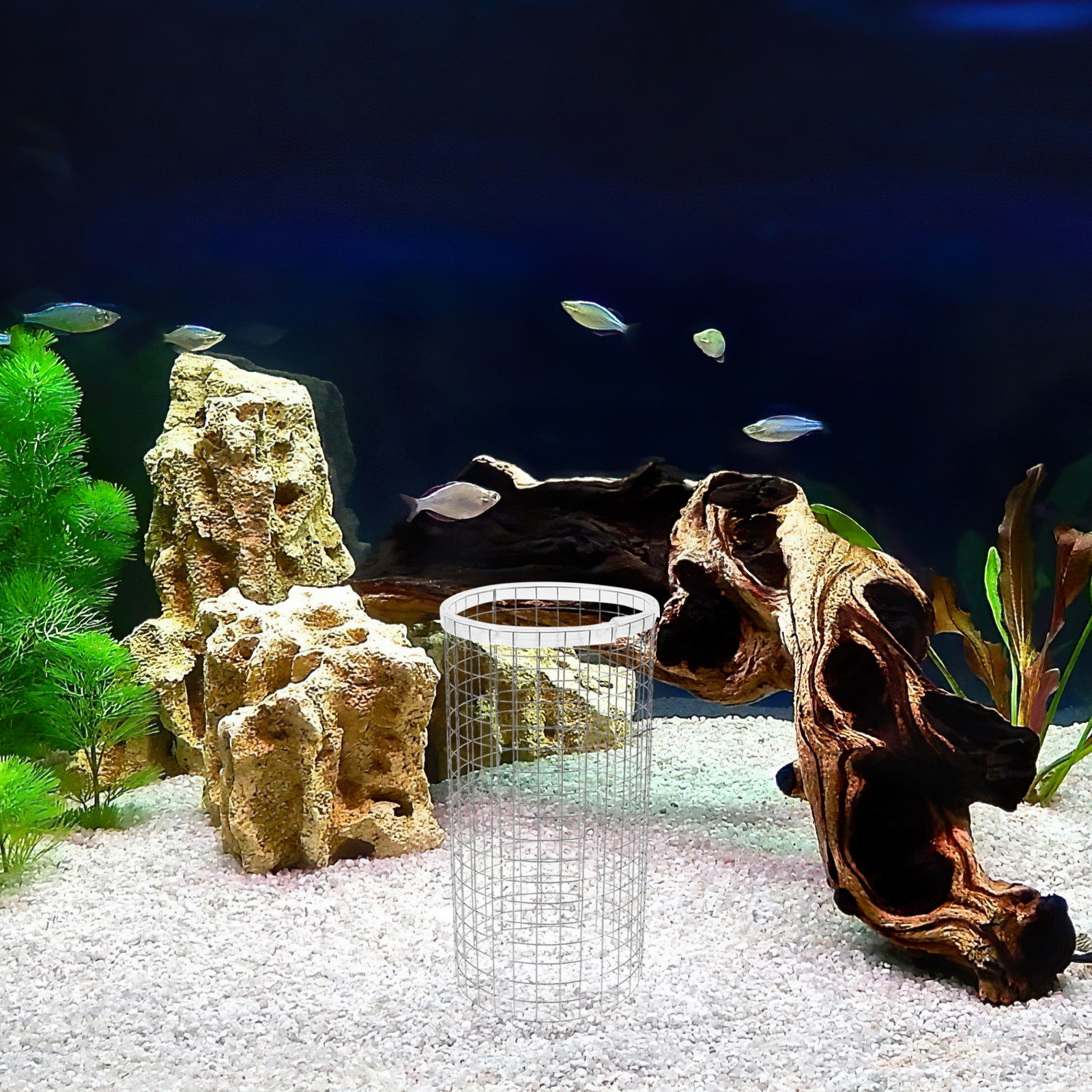 Fish Spawning Breed Cone Grid  – Aquarium Fish Discus Bewertung und Preis