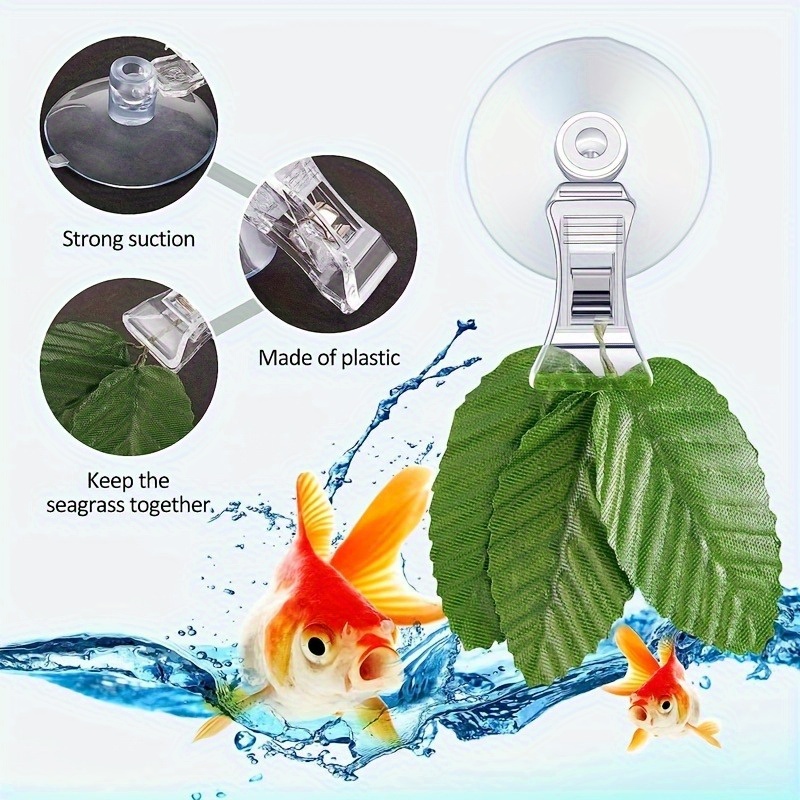 8pcs Fish Seaweed Clip Plant S – Aquarium Fish Food Bewertung und Preis