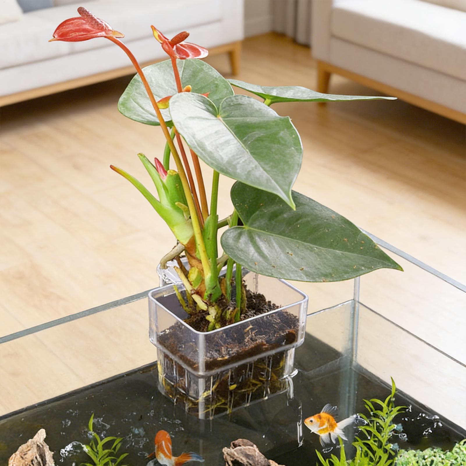 Transparent Hangable Aquarium  – Aquarium Fish Enrichment Bewertung und Preis