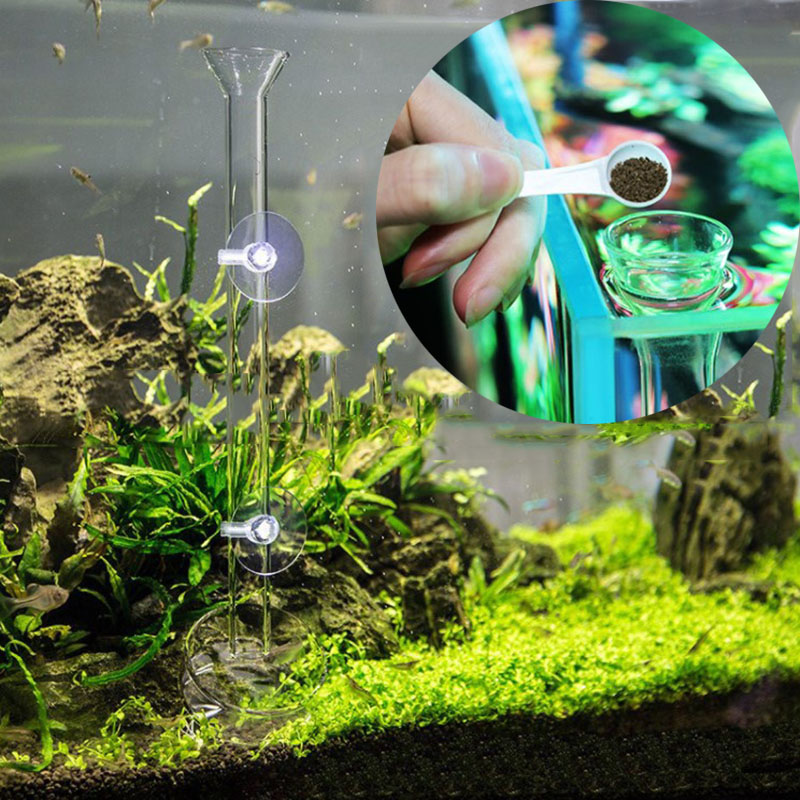 Glass Aquarium Feeder Tube Dis – Aquarium Fish Food Bewertung und Preis
