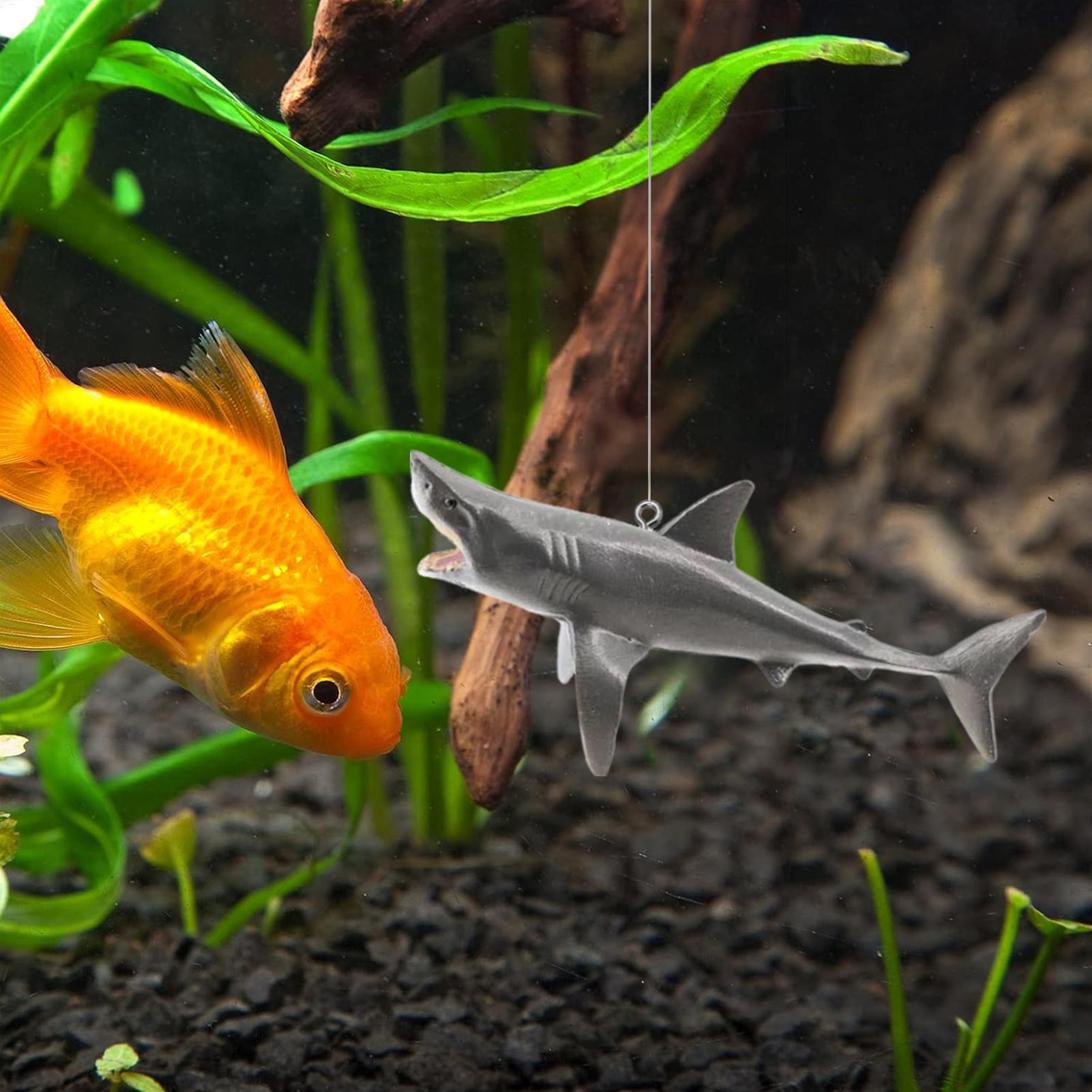 Floating Shark Aquarium Landsc – Aquarium Fish Shark Bewertung und Preis