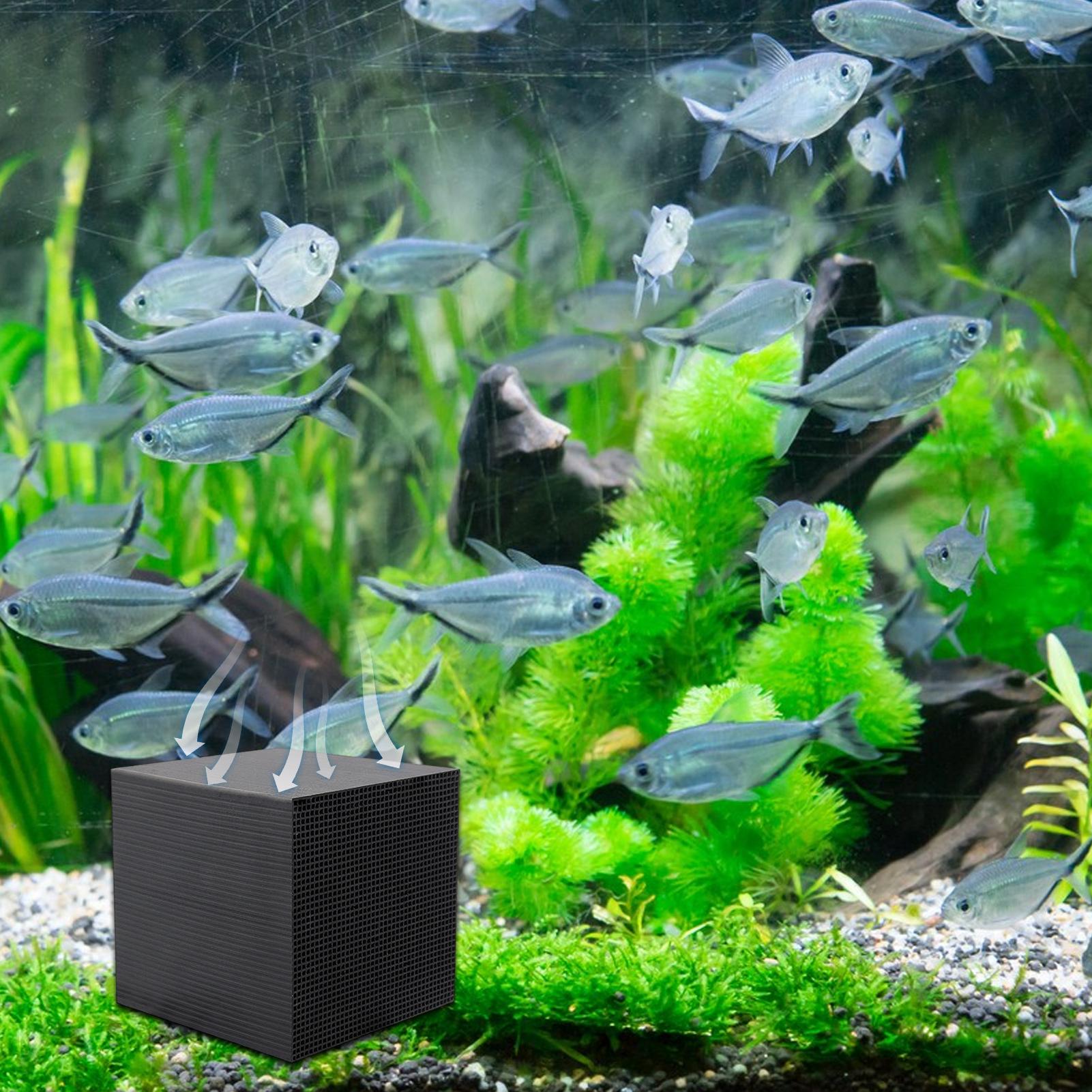 Aquarium Water Purifier Cube W – Aquarium Fish Background Bewertung und Preis
