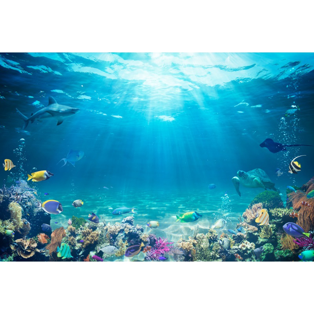 Underwater World Seabed Backdr – Aquarium Fish Shark Bewertung und Preis