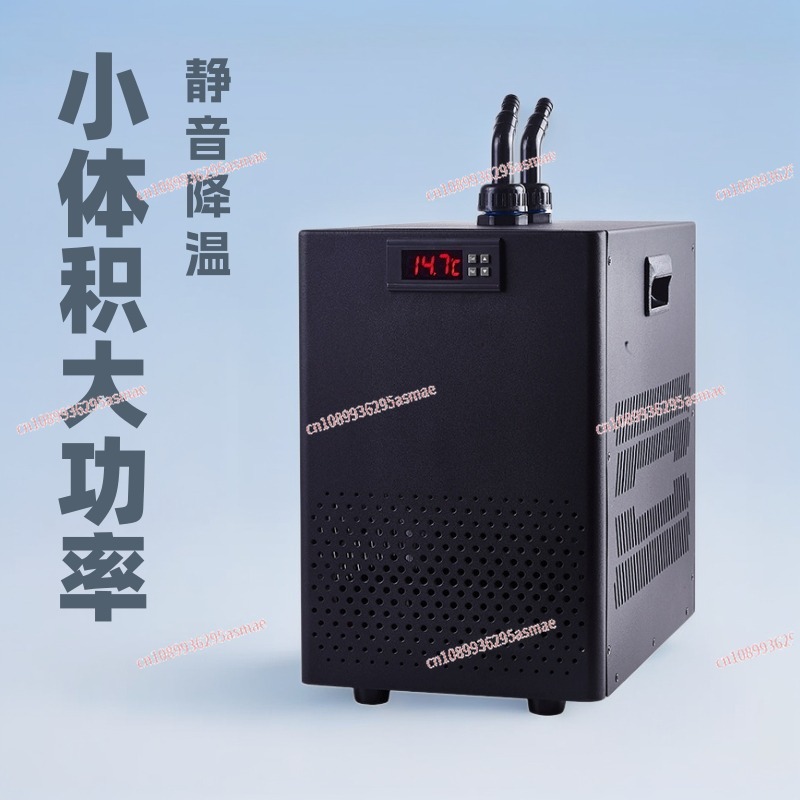 Small fish tank chiller househ – Aquarium Fish Usa Bewertung und Preis