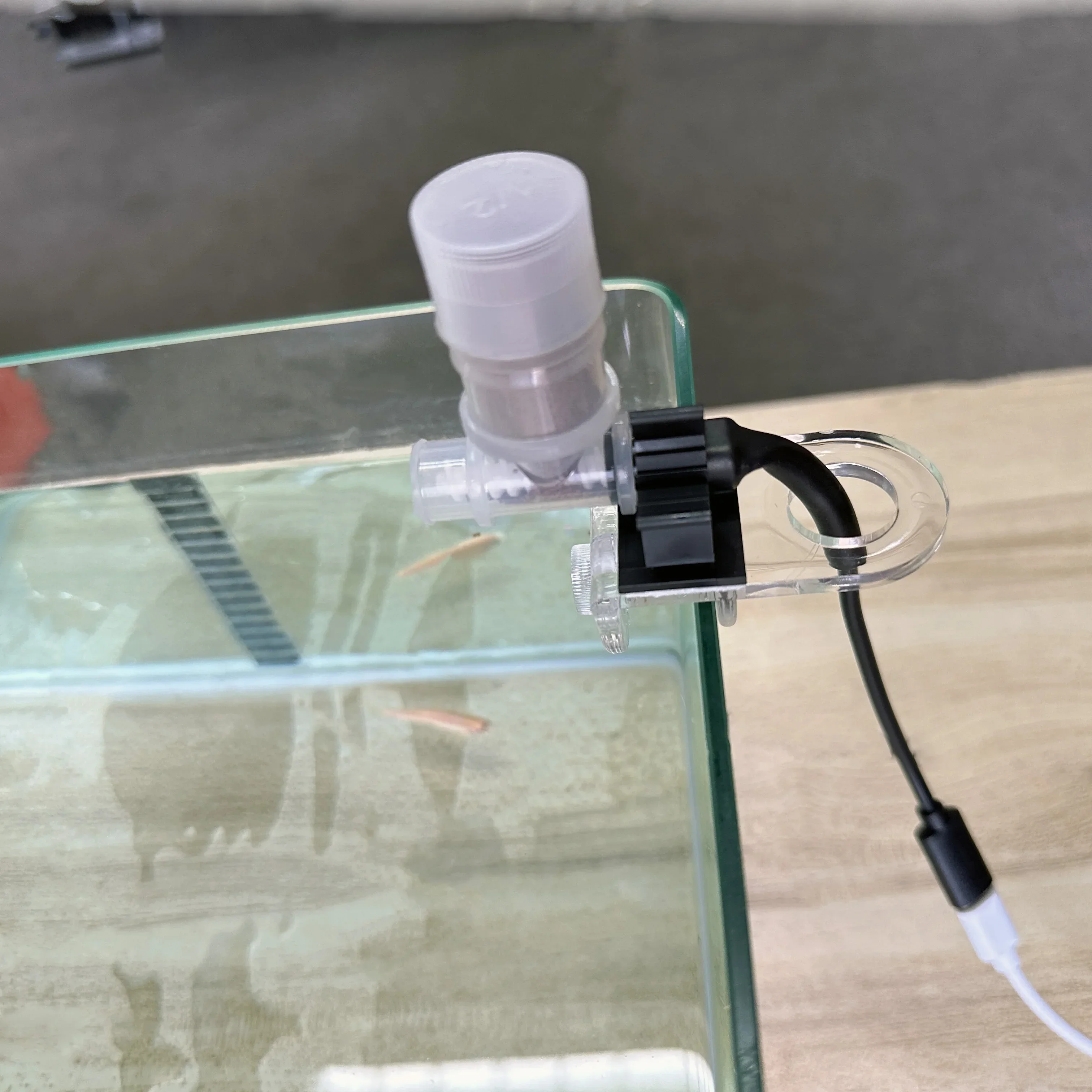 Best Automatic Fish Feeder - W – Aquarium Fish Food Bewertung und Preis