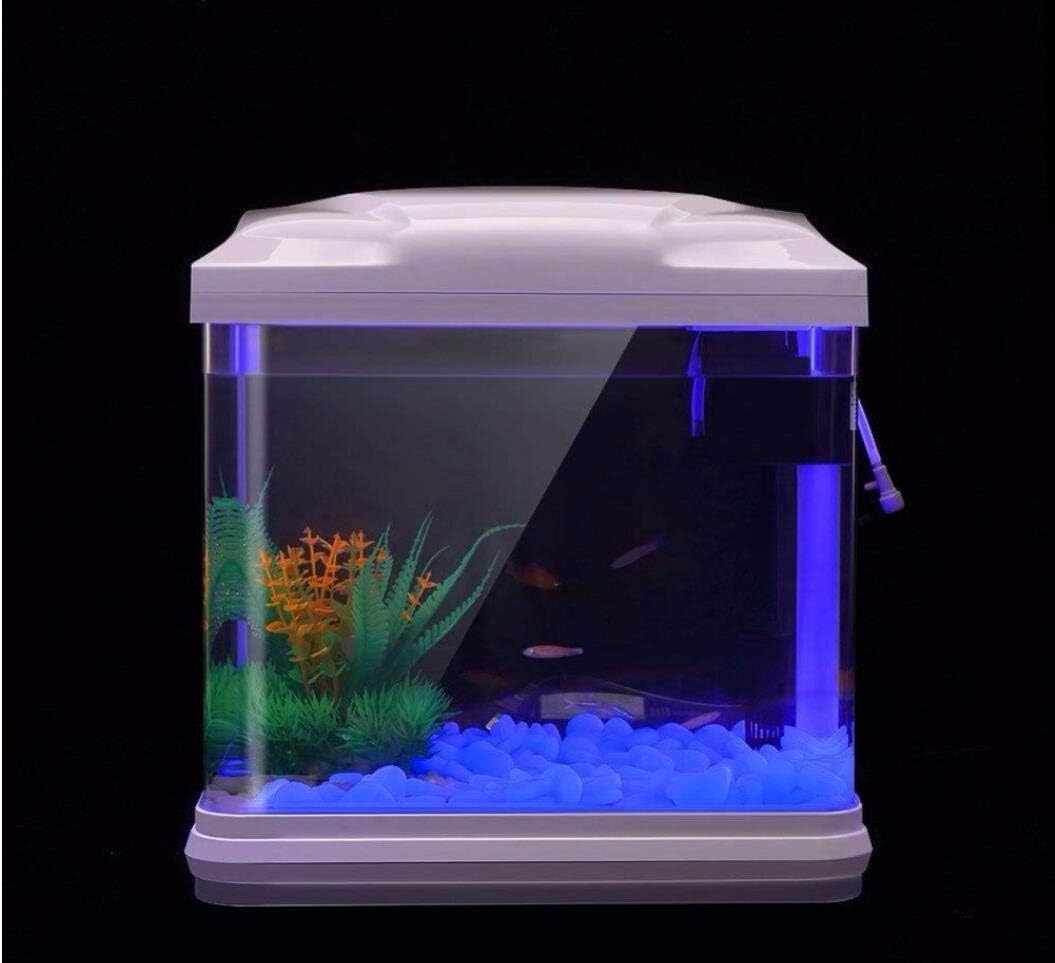 Fish Tank Rocks Glow Blue Pebb – Aquarium Fish To Buy Bewertung und Preis