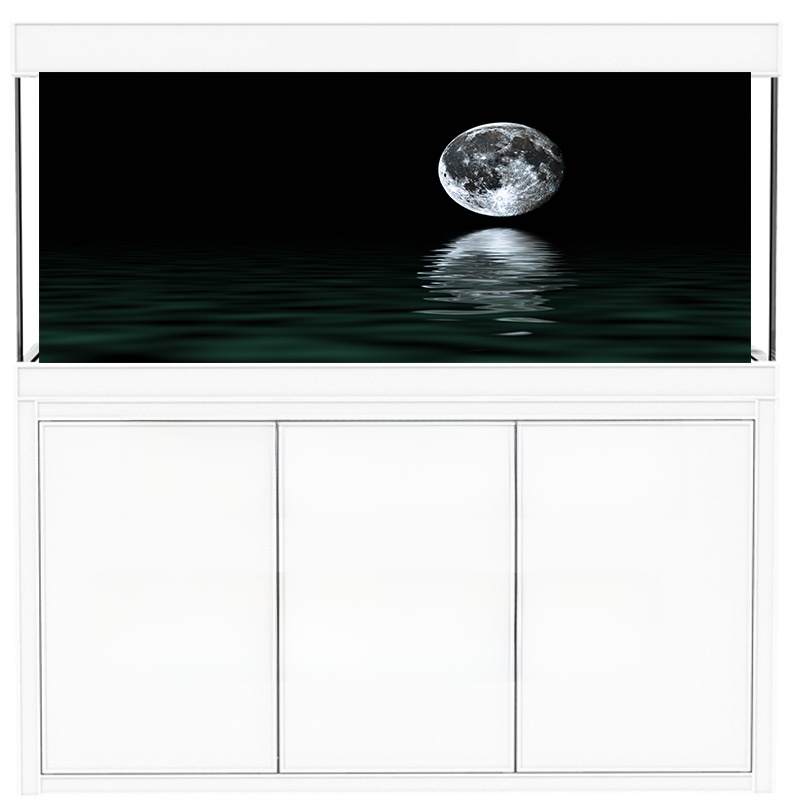 High Definition 3D Fish Tank B – Aquarium Fish Background Bewertung und Preis